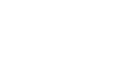 NAY elektrodom logo