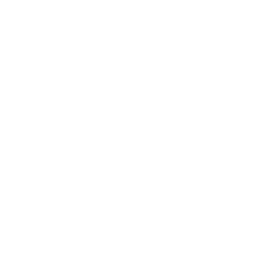 Elwis logo